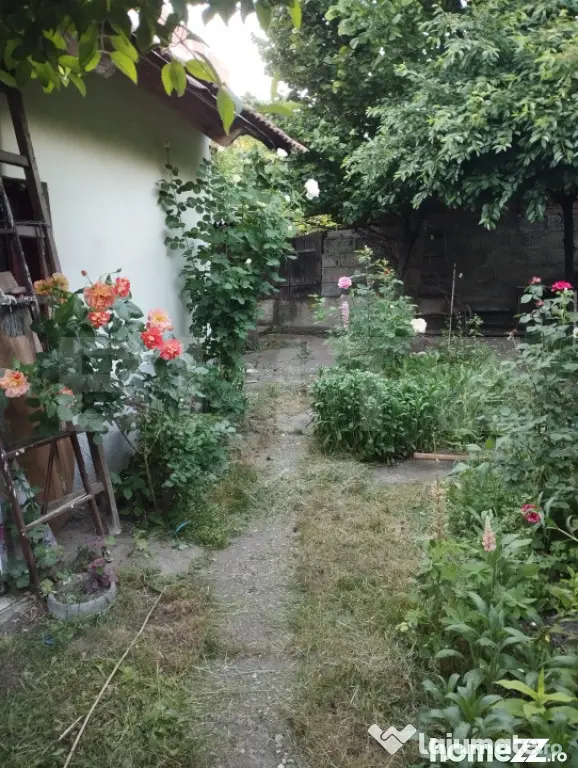 Casa individuala, zona centrala - Târgu Jiu - Targu Jiu (Gorj)