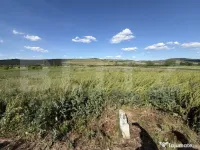 Teren intravilan în suprafață de 5900 mp la drum european 