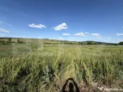 Teren intravilan în suprafață de 5900 mp la drum european