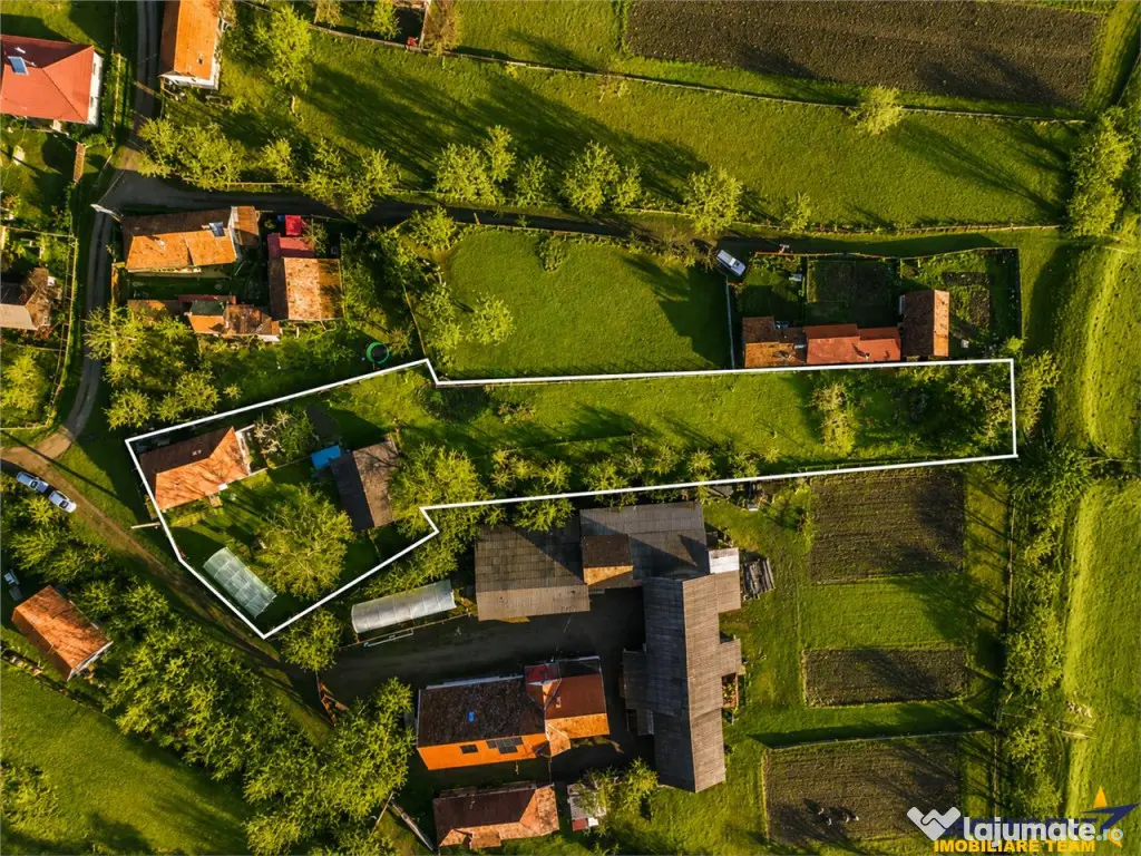 FILM! Casa cu sura, pivnita, balta cu pesti, 2.280 mp teren