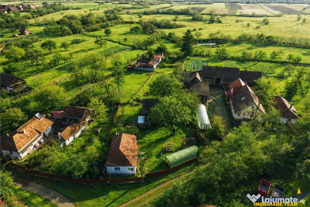 FILM! Casa cu sura, pivnita, balta cu pesti, 2.280 mp teren