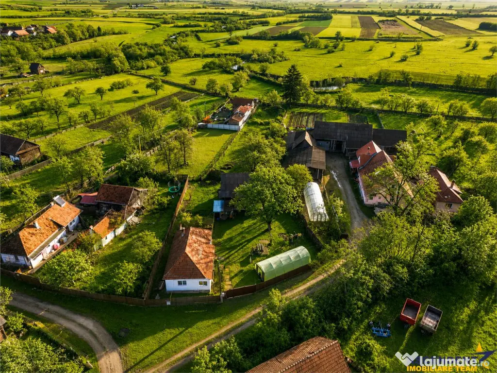 FILM! Casa cu sura, pivnita, balta cu pesti, 2.280 mp teren