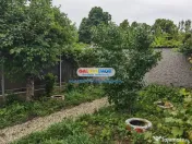 Vila individuala Curte - Baneasa