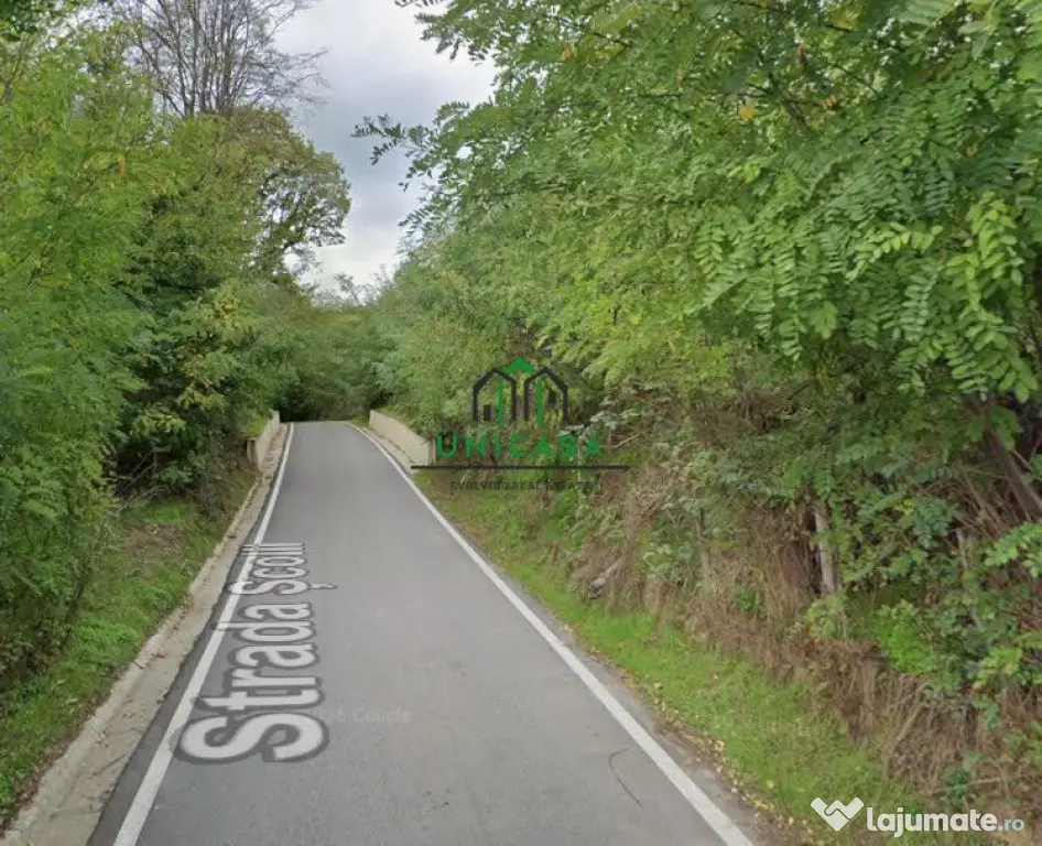 Teren 12.690 mp | 3.900 mp intravilan | Ocnele Mari- Slat...