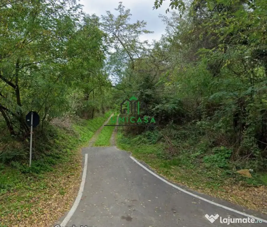Teren 12.690 mp | 3.900 mp intravilan | Ocnele Mari- Slat...