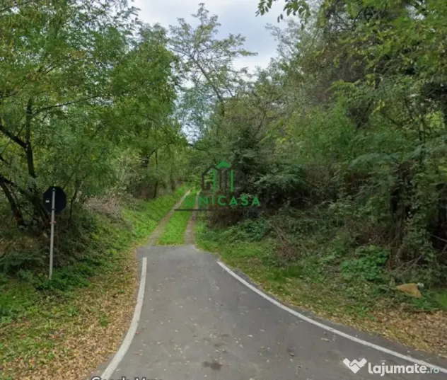 Teren 12.690 mp | 3.900 mp intravilan | Ocnele Mari- Slat...