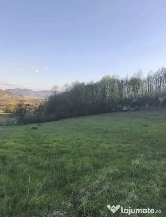 Teren extravilan cu padure proprie 4.309 m²