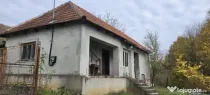 Casa si teren de vânzare langa Deva - Branisca