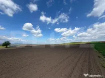 Teren extravilan, 3900 mp, zona Cumparatura