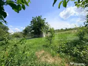 Teren intravilan de vânzare – Predești, jud. Dolj – 2.