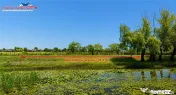 Teren cu deschidere la canal #238;n Letea – 2.557 mp | ... 