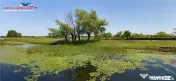 Teren cu deschidere la canal #238;n Letea – 2.557 mp | ... 