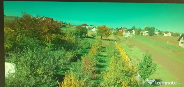 Clădire și teren Lisaura Suceava