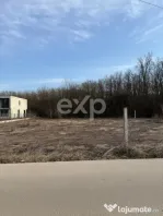 Teren Intravilan Constructii Padurile Regale Corbeanca