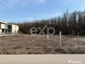 Teren Intravilan Constructii Padurile Regale Corbeanca 