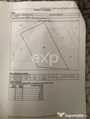 Teren Intravilan Constructii Padurile Regale Corbeanca 