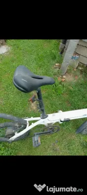 Bicicleta electrica 