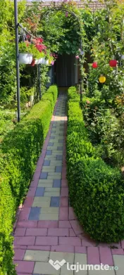 Cazare la mare casa Orange House Mangalia 