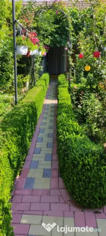 Cazare la mare casa Orange House Mangalia