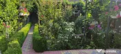 Cazare la mare casa Orange House Mangalia 