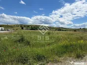 TEREN DE VÂNZARE – STRADA ZĂVOAIE