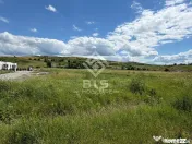 TEREN DE VÂNZARE – STRADA ZĂVOAIE