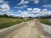 TEREN DE VÂNZARE – STRADA ZĂVOAIE