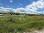 TEREN DE VÂNZARE – STRADA ZĂVOAIE