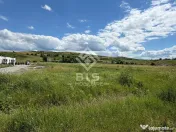 TEREN DE VÂNZARE – STRADA ZĂVOAIE