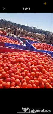 De vânzare fructe cu transport gratuit la domiciliul dumneavoastră