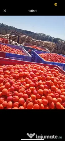 De vânzare fructe cu transport gratuit la domiciliul dumneavoastră