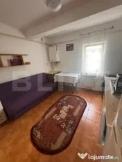 Apartament 1 cameră, 36 mp, zona Visani