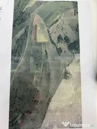 Vand teren in Bejan Tarnavita 5512 mp 