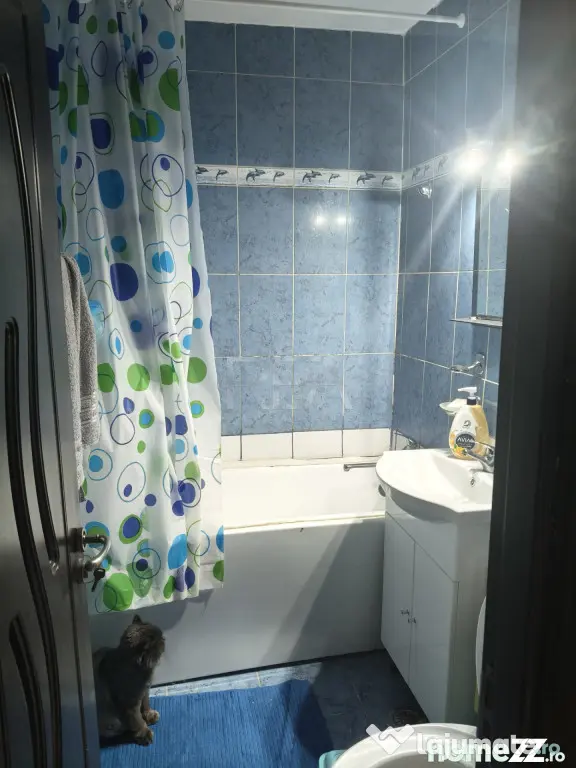 Apartament 3 camere | Drumul Taberei – Valea Călugăreasc - Bucuresti (Bucuresti-Ilfov)