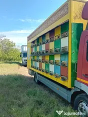 Stupină Mercedes benz eoro3 10,5 t 