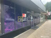 Spatiu comercial 130 mp, de inchiriat, strada Pictor Th. Ama