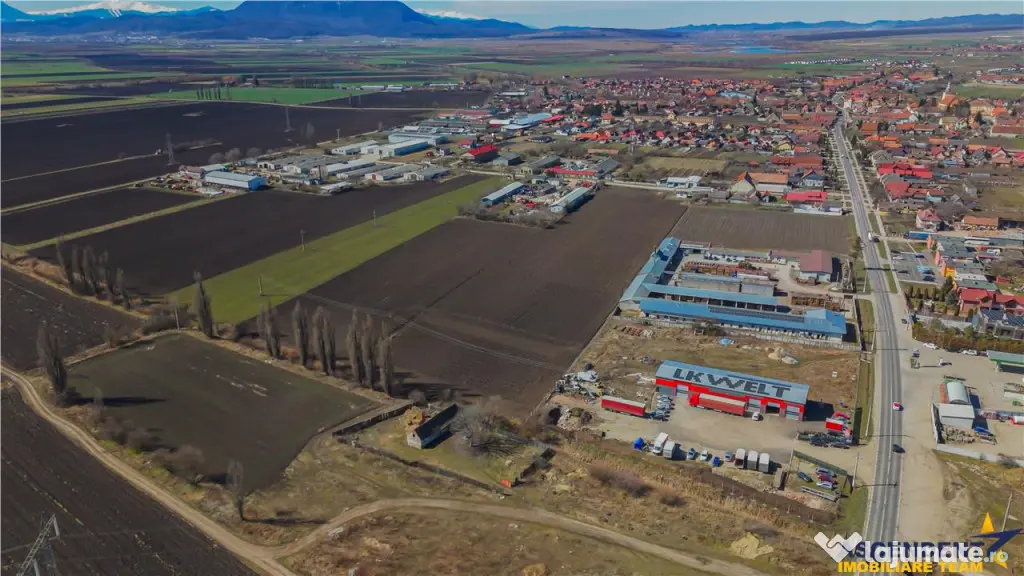 FILM! 30.000mp teren intravilan industrial, Central, Halchiu