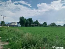 Teren Stupini Brasov - 2000 mp