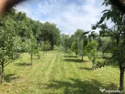 De vanzare casa 160mp , teren 4783 , zona Culciu Mare 