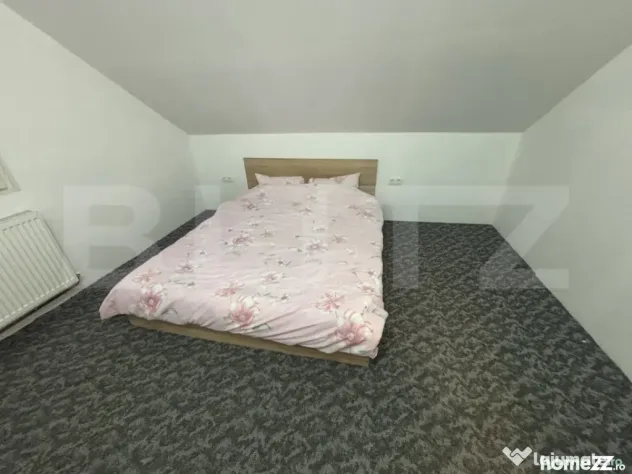 Casa de vanzare, 6 camere, 190 mp + teren de 5.000 mp - Cara - Carastelec (Salaj)