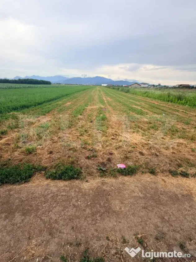 TEREN intravilan in Stupini, BRASOV