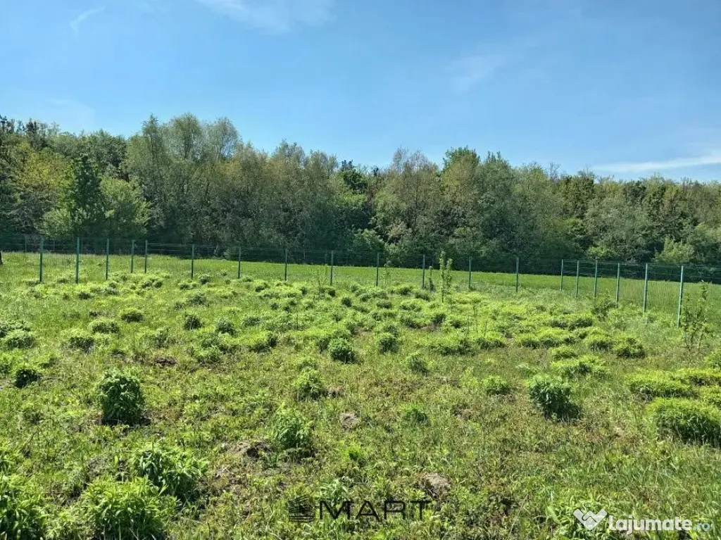 Teren Intravilan 837 mp Stupini