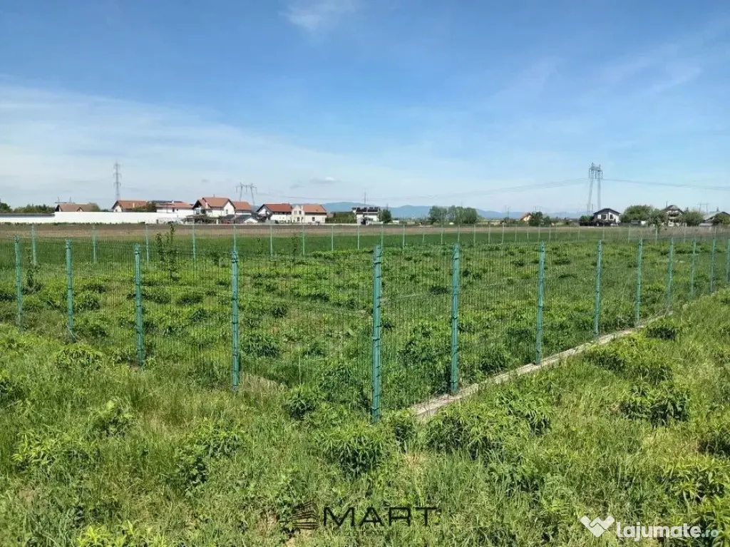 Teren Intravilan 837 mp Stupini