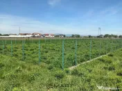 Teren Intravilan 837 mp Stupini 