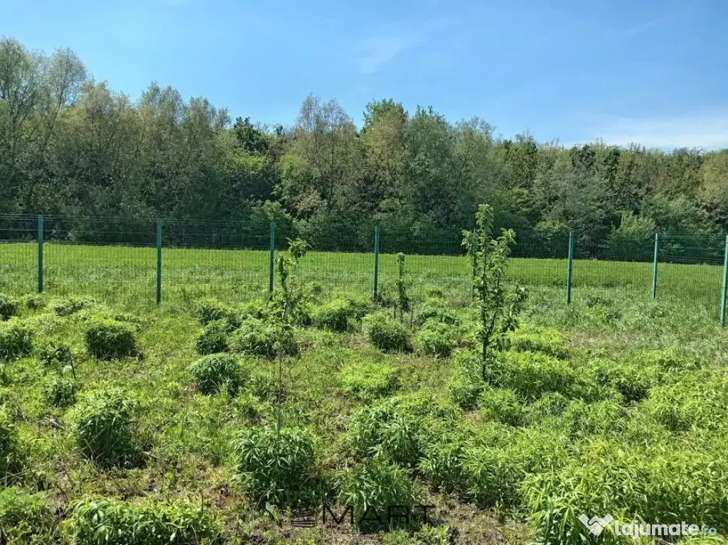 Teren Intravilan 837 mp Stupini