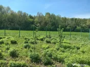 Teren Intravilan 837 mp Stupini 