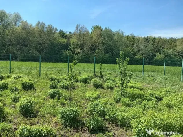 Teren Intravilan 837 mp Stupini