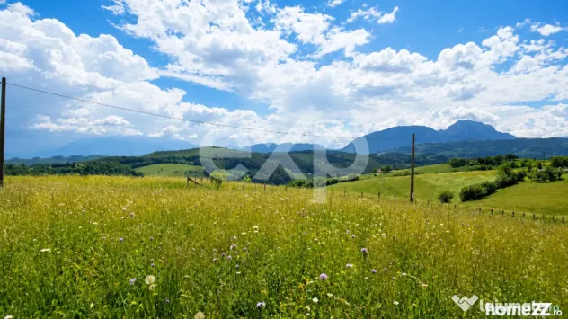 PANORAMA POIANA MĂRULUI | Terenuri cu potențial de dezvolt