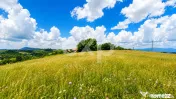 PANORAMA POIANA MĂRULUI | Terenuri cu potențial de dezvolt