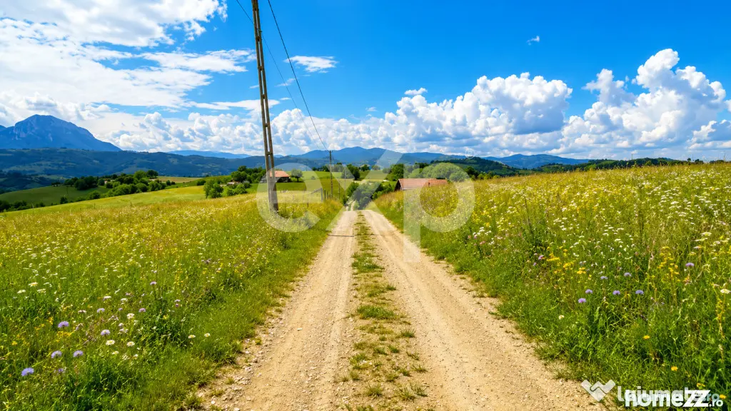 PANORAMA POIANA MĂRULUI | Terenuri cu potențial de dezvolt